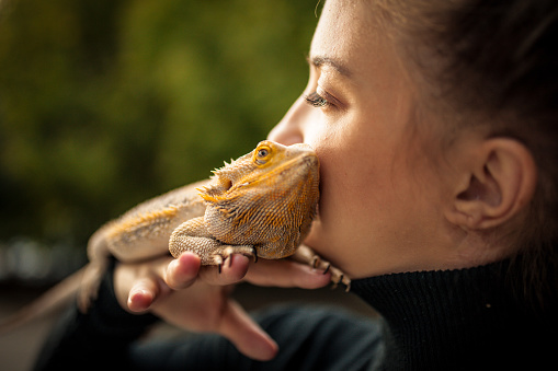 Reptile Love