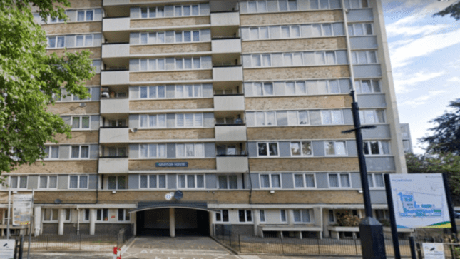 Concerns were raised by members of the public over dead cats on the Pleydell Estate in Islington (Picture: Google Maps)