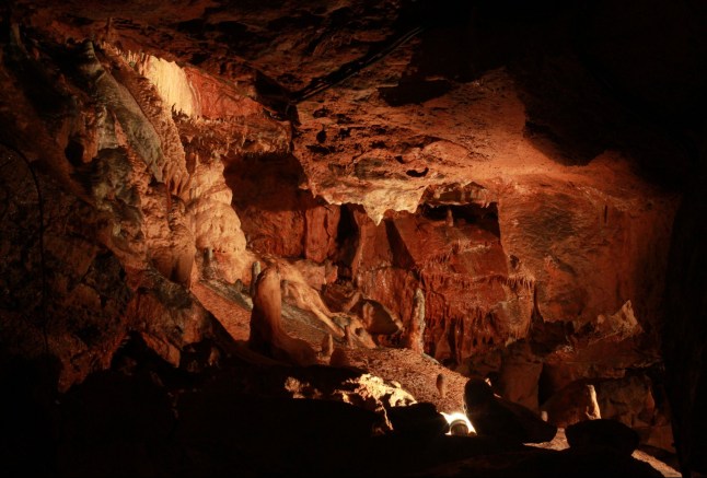 Mandatory Credit: Photo by Richard Gardner/Shutterstock (4896977q) Kents Cavern Devon, Britain - Jun 2015