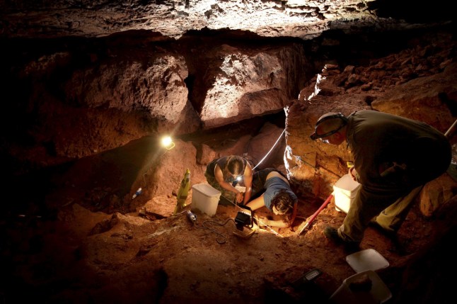 FILE PICTURE - An archaeological dig at Kents Cavern, Torquay by archaeologist from Sheffield and Durham University. See SWNS story SWLNcave. A network of prehistoric caves dubbed "Britain's oldest home" has been put up for sale for the first time in 120 years - for ?2.5m. Kents Cavern in Torquay, Devon was formed over 2.5 million years ago, and has been open to the public since the 19th century. The independent heritage attraction has been owned by the same family for 120 years, and was also the inspiration for Agatha Christie's 1924 novel The Man in the Brown Suit.'