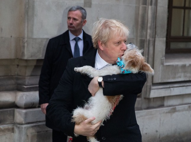 Mandatory Credit: Photo by Mark Thomas/REX/Shutterstock (10503819z) British Prime Minister, Boris Johnson, kissing his dog, Dilyn, a Jack Russell cross, after casting his vote Boris Johnson casts his vote, London, UK - 12 12 19