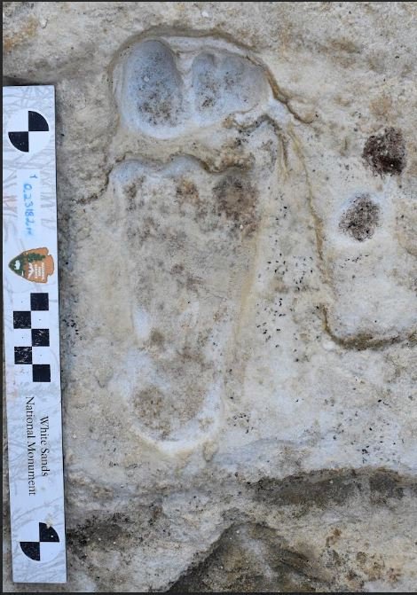 *EMBARGOED UNTIL 19.00 BST, THURS OCT 5 (14.00 ET)* Footprints at the base of trench in White Sands National Park. Photo released October 5 2023. See SWNS story SWSCfootprints. The oldest fossilised human footprints found in North America are more than 20,000 years old, according to new research. Two new lines of evidence support the 21,000 to 23,000-year-old estimate of the prints made two years ago - confirming humans were present in North America when the geographic extent of ice sheet and glacier coverage on Earth's surface peaked, known as the Last Glacial Maximum. The original 2021 results kicked off a global conversation among the science community as to the accuracy of the ages.