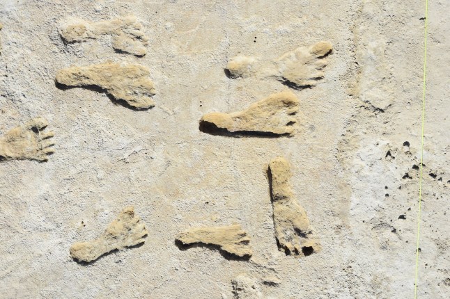 *EMBARGOED UNTIL 19.00 BST, THURS OCT 5 (14.00 ET)* Fossilized footprints in White Sands National Park. Photo released October 5 2023. See SWNS story SWSCfootprints. The oldest fossilised human footprints found in North America are more than 20,000 years old, according to new research. Two new lines of evidence support the 21,000 to 23,000-year-old estimate of the prints made two years ago - confirming humans were present in North America when the geographic extent of ice sheet and glacier coverage on Earth's surface peaked, known as the Last Glacial Maximum. The original 2021 results kicked off a global conversation among the science community as to the accuracy of the ages.