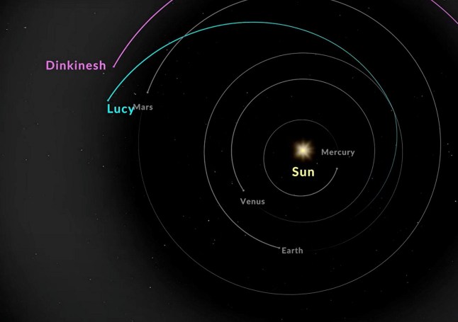 Graphic showing the NASA Lucy spacecraft travelling through the inner edge of the main asteroid belt. See SWNS story SWMRlucy. A spacecraft named after a Beatles song got a surprise this week when it found a bonus mini asteroid. On Wednesday (1 Nov), NASA?s Lucy spacecraft flew by its target: a half-mile-wide asteroid named Dinkinesh. However, the research team were met with the "exciting" discovery of a smaller space rock nearby. The encounter primarily served as an in-flight test of the spacecraft, specifically focusing on testing the system that allows Lucy to autonomously track an asteroid as it flies past at 10,000 mph, referred to as the terminal tracking system. The mission is named after Lucy, a 3.2 million-year old fossil skeleton of a human ancestor discovered in Ethiopia in 1974. The find was nicknamed after the 1967 Beatles song "Lucy in the Sky with Diamonds".