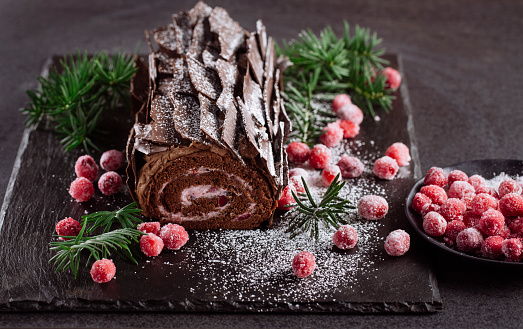 Chocolate Cranberry Holiday yule log