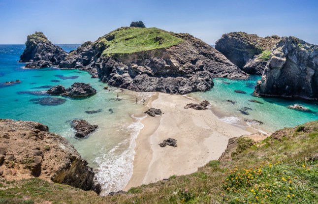 Asparagus Island Kynance Cove