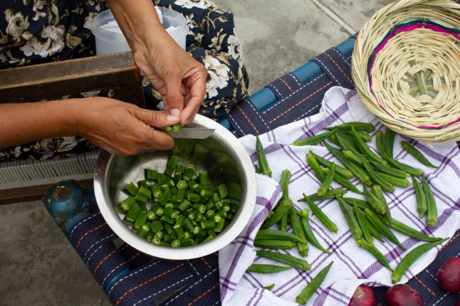 Sharan - Unlearning shame around food smells because of racism