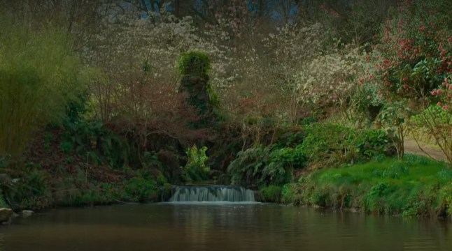 Adam Clayton from U2 on Gardeners' World