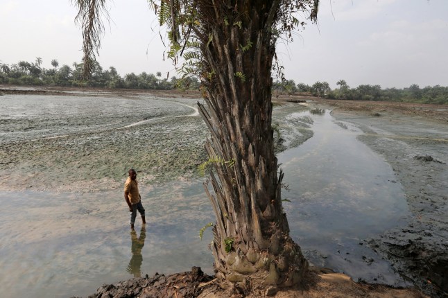 Eric Dooh, a fish farmer, stands in the oil polluted mud of his fish ponds affected by an oil spill in 2004 in Goi, Nigeria, on Wednesday, Jan. 13, 2016. Twenty years after the oil-pollution crisis in the Niger delta shot to world attention when the then military government hanged the author and environmentalist, Ken Saro-Wiwa, residents in the region are seething with anger again that the problem hasnt been fixed. Photographer: George Osodi/Bloomberg via Getty Images