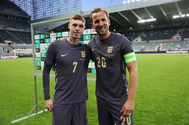 England v Bosnia & Herzegovina - International Friendly