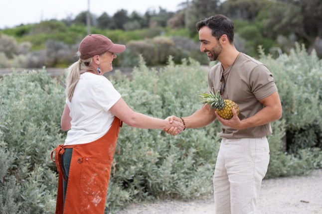 Melanie shakes Logan's hand in Neighbours