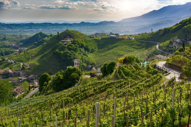 Prosecco hills in spring,Valdobbiadene and Santo Stefano - panorama