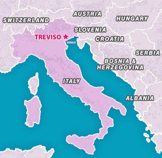 METRO GRAPHICS map showing location of Treviso, Italy