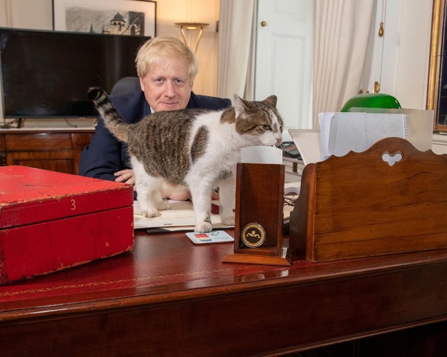 Undated handout photo taken from the twitter feed of @10DowningStreet showing Prime Minister Boris Johnson with Larry the 10 Downing Street cat. PRESS ASSOCIATION Photo. Issue date: Thursday August 8, 2019. See PA story POLITICS Brexit. Photo credit should read: UK Prime Minister/PA Wire NOTE TO EDITORS: This handout photo may only be used in for editorial reporting purposes for the contemporaneous illustration of events, things or the people in the image or facts mentioned in the caption. Reuse of the picture may require further permission from the copyright holder.