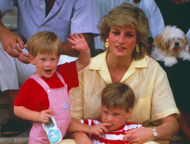 Mandatory Credit: Photo by TODAY/REX/Shutterstock (137171a) Prince Harry, Princess Diana and Prince William British royals on holiday in Majorca, Spain - Aug 1987