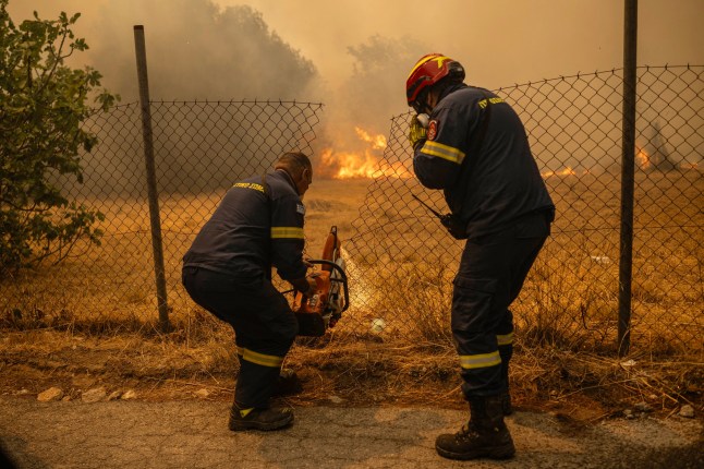 Greek firefighters saw a fence to enter a field as they try to extinguish a wildfire near Penteli, 12 August 2024. Greece's civil protection authorities ordered the evacuation of several towns in the north-eastern suburbs of Athens, threatened by a violent fire that started the day before and is spreading. European Union said that four countries -- Italy, France, the Czech Republic and Romania -- would send assistance at the request of Greece which is combating a massive wildfire burning through Athens suburbs. (Photo by Angelos TZORTZINIS / AFP) (Photo by ANGELOS TZORTZINIS/AFP via Getty Images)