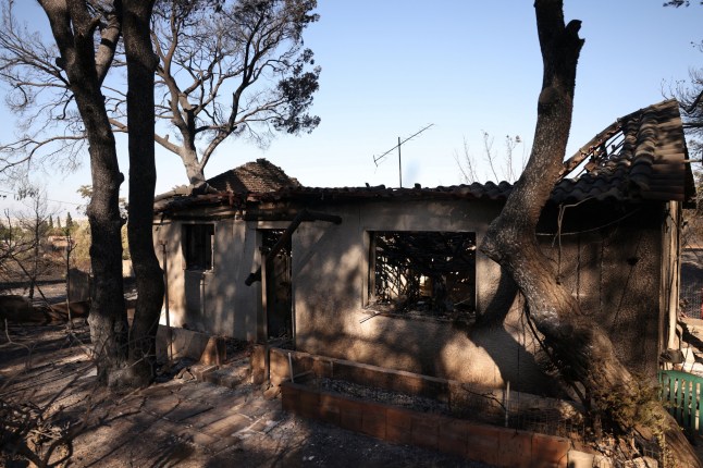 A view of a burned out house, following the wildfire in Halandri suburb in Athens, Greece, August 13, 2024. REUTERS/Stelios Misinas