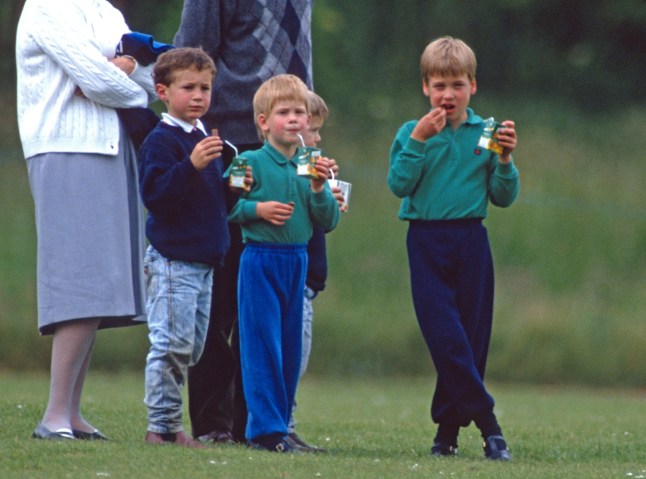 CIRENCESTER, ENGLAND - JUNE 15: Prince William and Prince Harry hold cartons of juice and snacks as they watch their father Prince Charles, Prince of Wales take part in a polo match at Cirencester Park on June 15, 1989 in Cirencester, England. (Photo by Anwar Hussein/Getty Images)