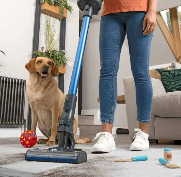 Image of Henry Quick Pet Cordless Vacuum Cleaner from Amazon