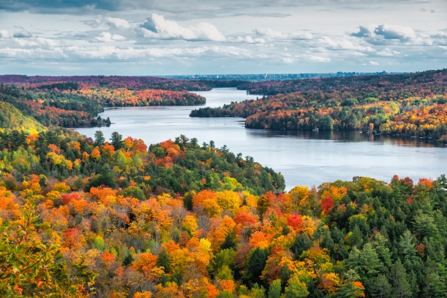 Gatineau Hills Ottawa Canada Autumn Landscape