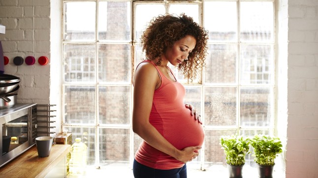 A pregnant woman holds her bump in kitchen window