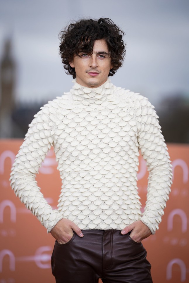 Timothee Chalamet attending a photo call for Dune: Part Two, at IET: London. Picture date: Wednesday February 14, 2024. PA Photo. See PA story SHOWBIZ Dune. Photo credit should read: Yui Mok/PA Wire