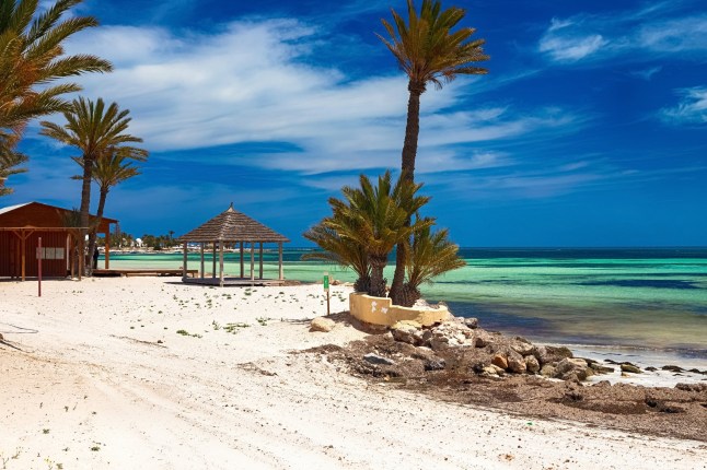 Seascape. A beautiful view of the Mediterranean coast with birch water, a beach with white sand and a green palm tree. Djerba Island, Tunisia