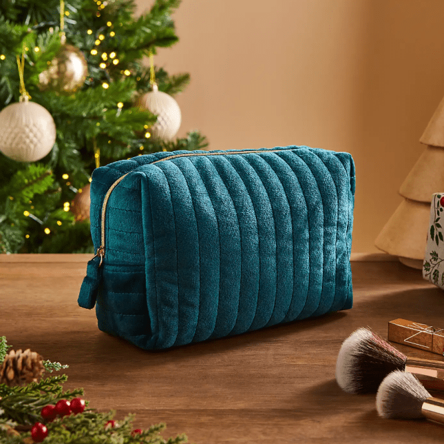 Image of Velour Cosmetic Bag from Dunelm