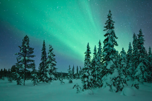 Aurora in a frozen forest in  Kiruna, Sweden