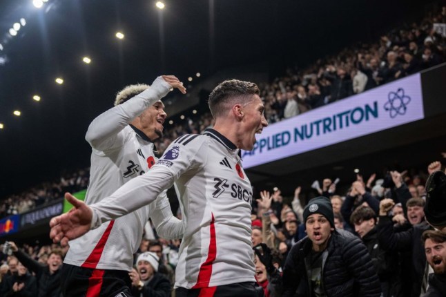 Fulham FC v Brentford FC - Premier League