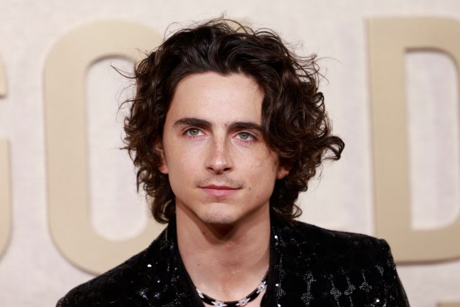 A close up of Timothee Chalamet