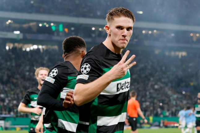 LISBON, PORTUGAL - NOVEMBER 5: Viktor Gyokeres of Sporting CP celebrates 4-1 with Geny Catamo of Sporting CP during the UEFA Champions League match between Sporting CP v Manchester City at the Estadio Jose Alvalade on November 5, 2024 in Lisbon Portugal (Photo by Eric Verhoeven/Soccrates/Getty Images)