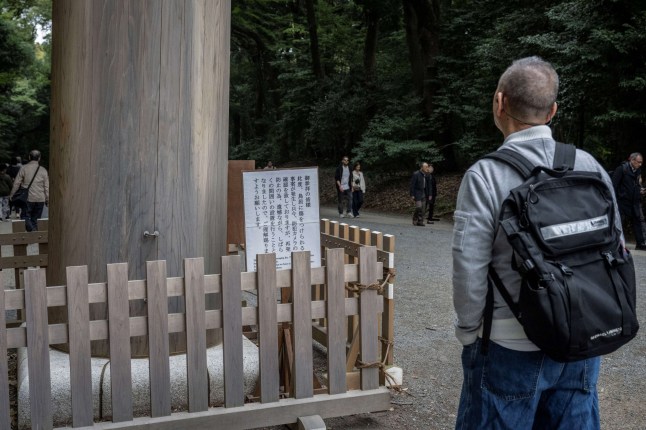 A man looks at a Torii gate at Meiji shrine in Tokyo on November 14, 2024. A 65-year-old American tourist was arrested for allegedly etching letters onto a traditional wooden gate at a Tokyo shrine, police said, the latest example of bad behaviour by visitors flooding back to Japan post-pandemic. (Photo by Yuichi YAMAZAKI / AFP) (Photo by YUICHI YAMAZAKI/AFP via Getty Images)