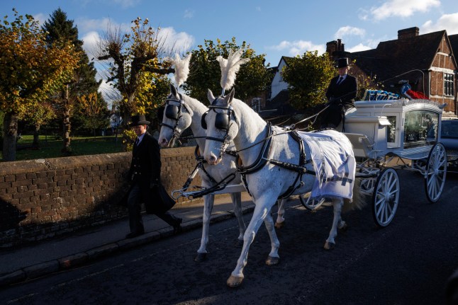 White horses pulling the hearse at Liam Payne's funeral