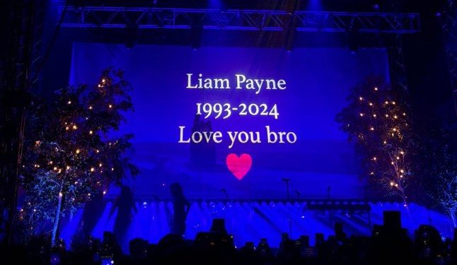 (Picture: Remembering Liam Payne/X)