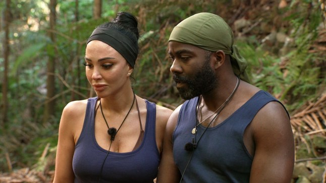 Tulisa and Melvin Odoom looking forlorn on I'm A Celebrity