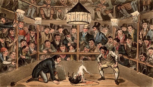 Tom and Jerry sporting their blunt on the phenomenon Monkey Jaco Macacco at the Westminster Pit. In the centre of the picture Tom and Jerry are placing cash bets (sporting their blunt) on the outcome of the fight between a monkey and a bull terrier. The scene is lit by candles. Illustration by (Isaac) Robert Cruikshank and George Cruikshank Snr. for "Life in London" by Pierce Egan (London, 1821). Aquatint. (Photo by: Photo12/Universal Images Group via Getty Images)