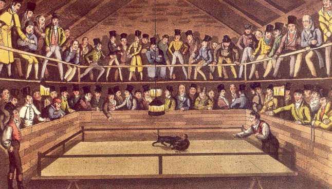 The Westminster-Pit: A Turn-up between a Dog and Jacco Macacco, the Fighting Monkey by Henry Thomas Alken Illustration, 1822