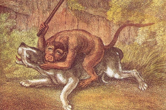 Battle of the dog and Monkey by Samuel Howitt, 1799