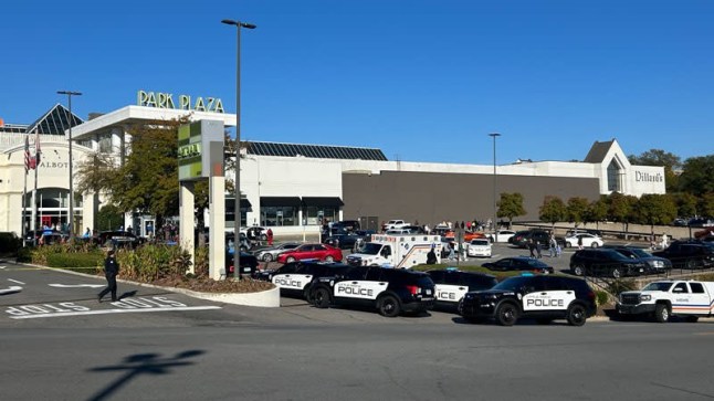 Black Friday shooting at Park Plaza Mall in US sparks shopping chaos