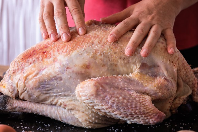 Roast turkey preparing, dry brine