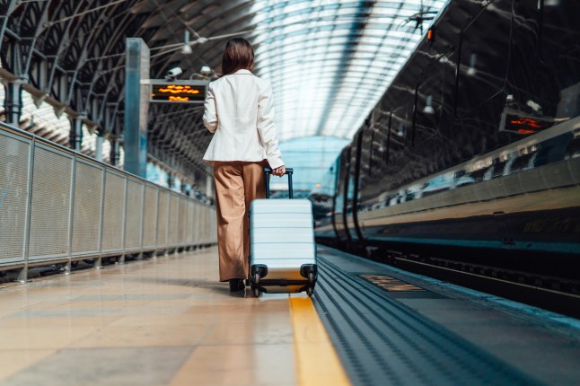 Rear view of young business woman with luggage walking on the platform at train station