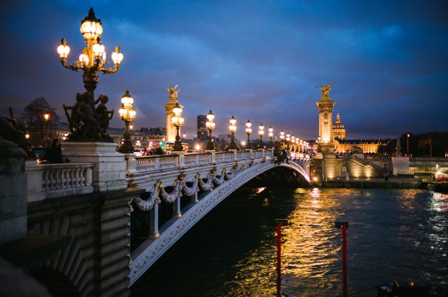 Pont Alexandre III at night, Paris, Ile de France, France