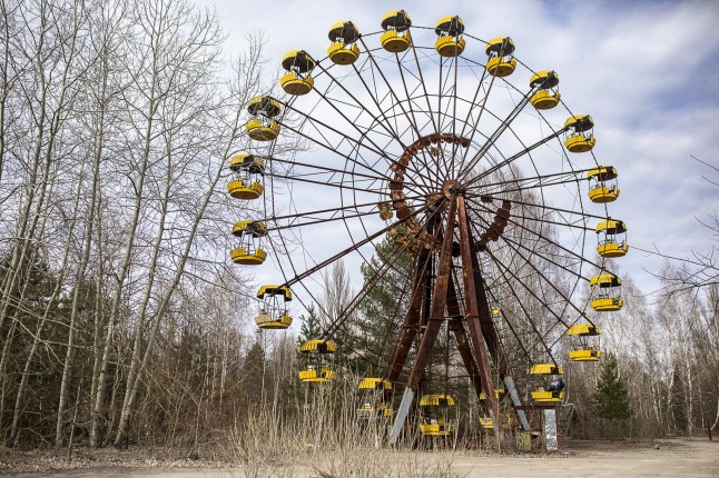 A black fungus is healing Chernobyl by eating radiation