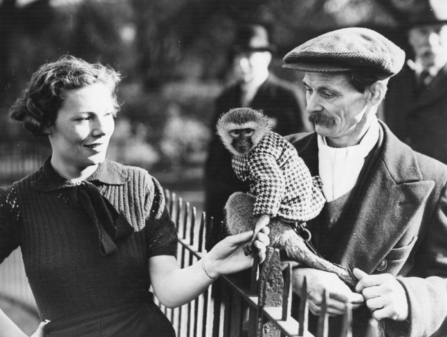 5th March 1938: A young girl making friends with a pet monkey in Battersea Park. (Photo by Fox Photos/Getty Images)