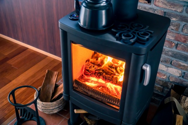 A room with Wood-burning stove.; Shutterstock ID 1921449101; purchase_order: -; job: -; client: -; other: -