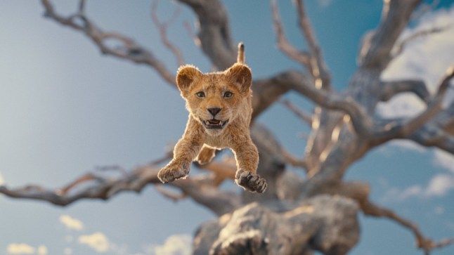 Mufasa: The Lion King Stills