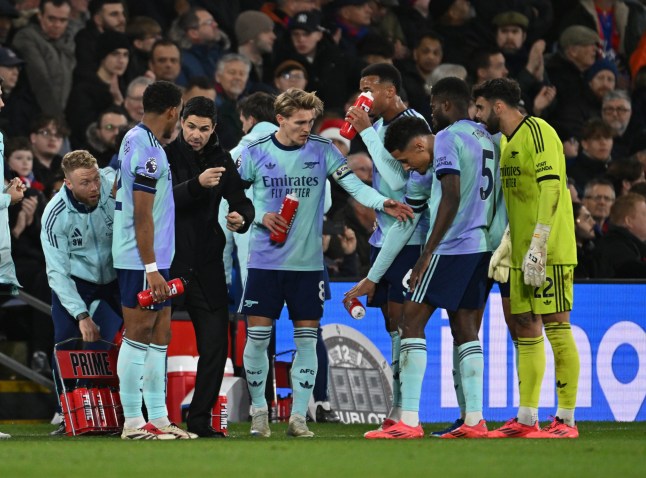 LONDON, ENGLAND - DECEMBER 21: Arsenal manager Mikel Arteta talks to his players during the Premier League match between Crystal Palace FC and Arsenal FC at Selhurst Park on December 21, 2024 in London, England. (Photo by Stuart MacFarlane/Arsenal FC via Getty Images)