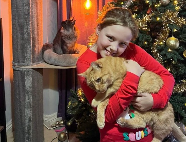 A lost cat has been reunited with his owners after going missing from the family home - for seven years. Boots the ginger Tomcat vanished from owner Mary-Ann Lloyd's Birmingham home in 2017. And when the family moved a few miles away, they were sure they would never see their beloved pet again. But amazingly he had been hanging around his family's former neighbourhood where he was being fed by residents who did not know who he belonged to. Mary-Ann said: "We had been through such real heartbreak and so we're just so happy to have him back."