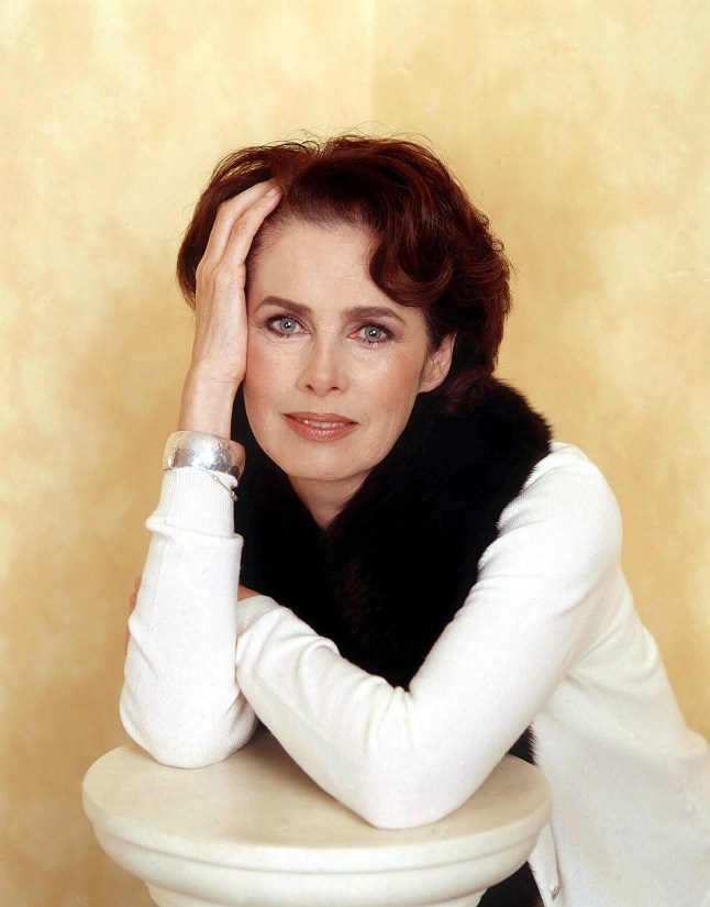 Dayle Haddon